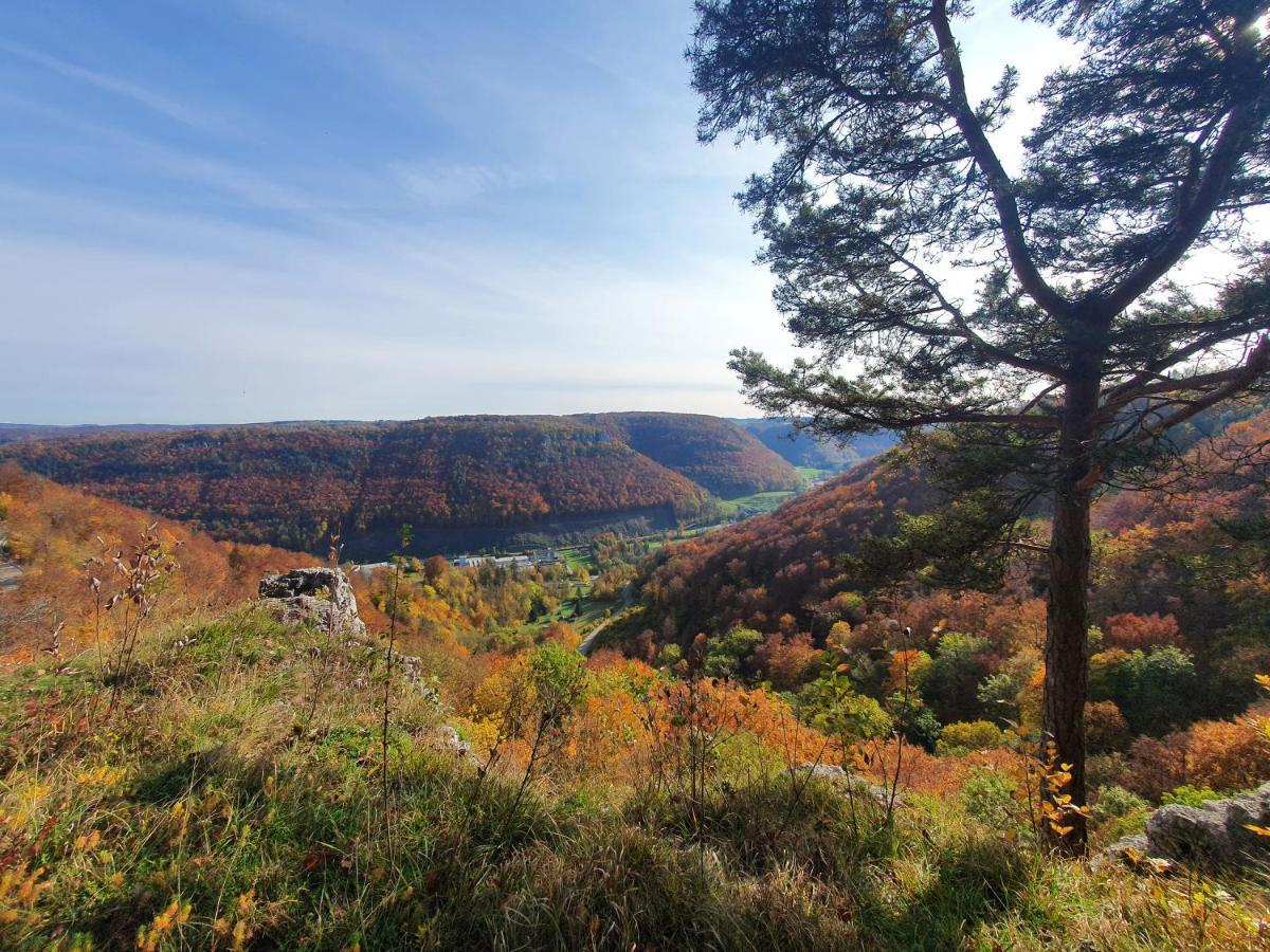 Quiet Business Flat Or Vacation Home In Bad Urach Exteriör bild