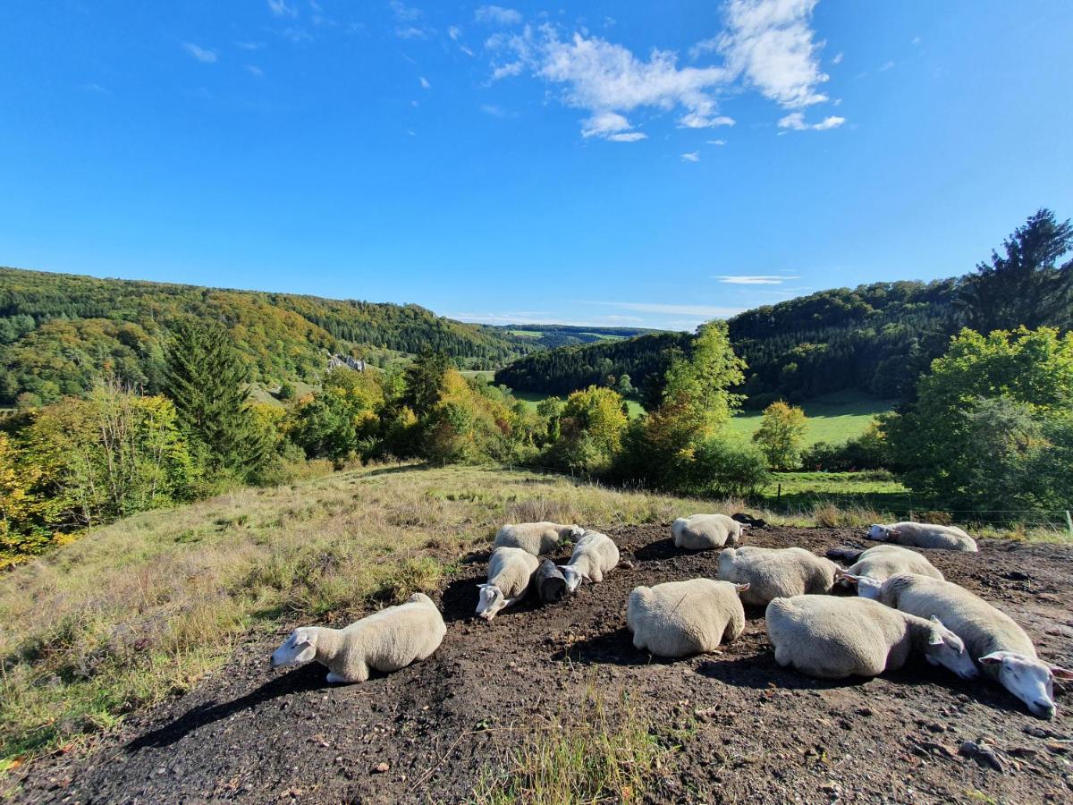 Quiet Business Flat Or Vacation Home In Bad Urach Exteriör bild